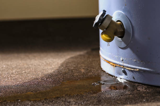 Reliable Ohatchee, AL Water damage restoration Solutions